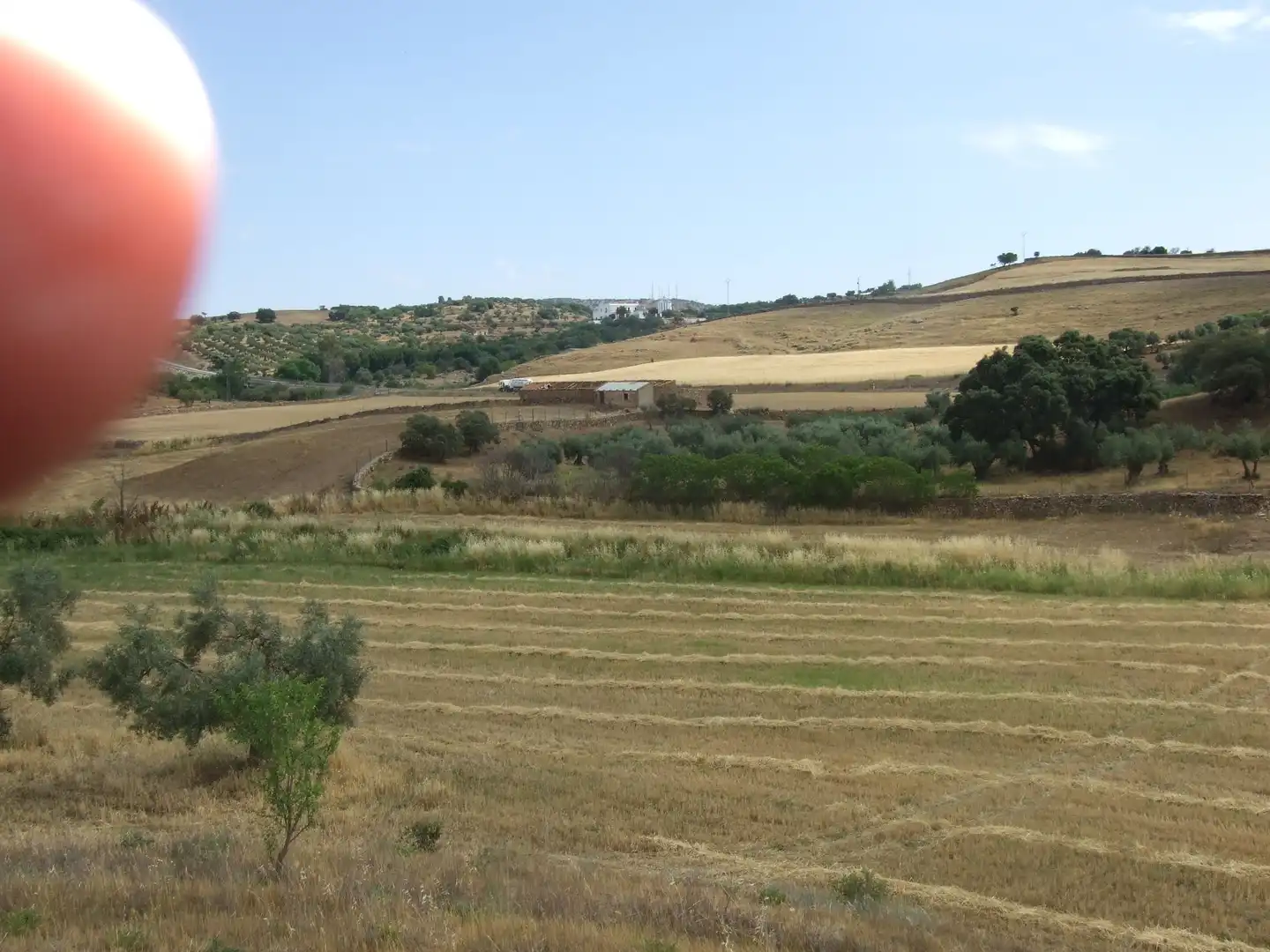 Terreni e lotti in vendita a Zafra, imagen 7