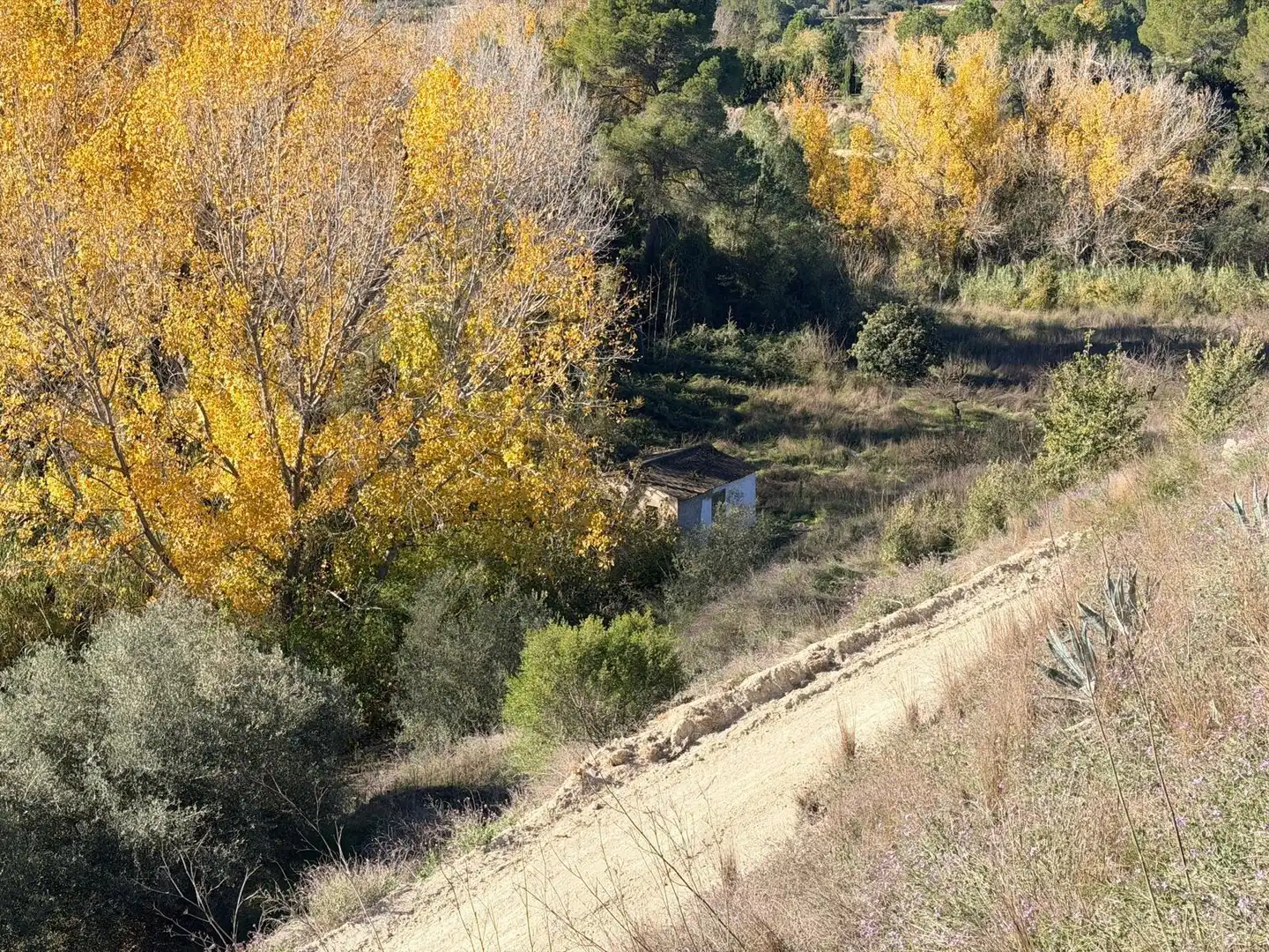 Terreno residenziale in vendita a Albaida, imagen 2