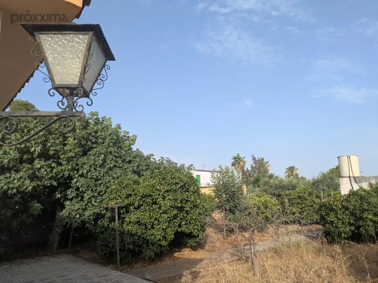 Finca rústica en venta en La Rinconada