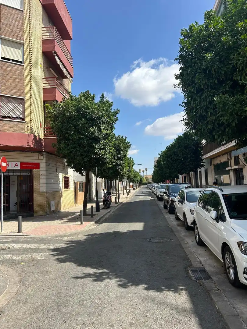 Casa en venda a Nervión, imagen 2