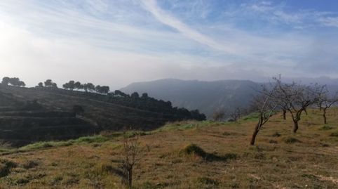 Finca Rúst. en venta en Polígonos., imatge 4