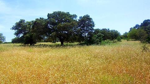 Photo 2 of Land for sale in Zona Periurbana, Illes Balears