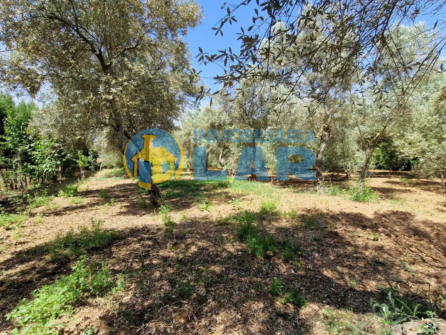 Casa o chalet en venta en Trigueros