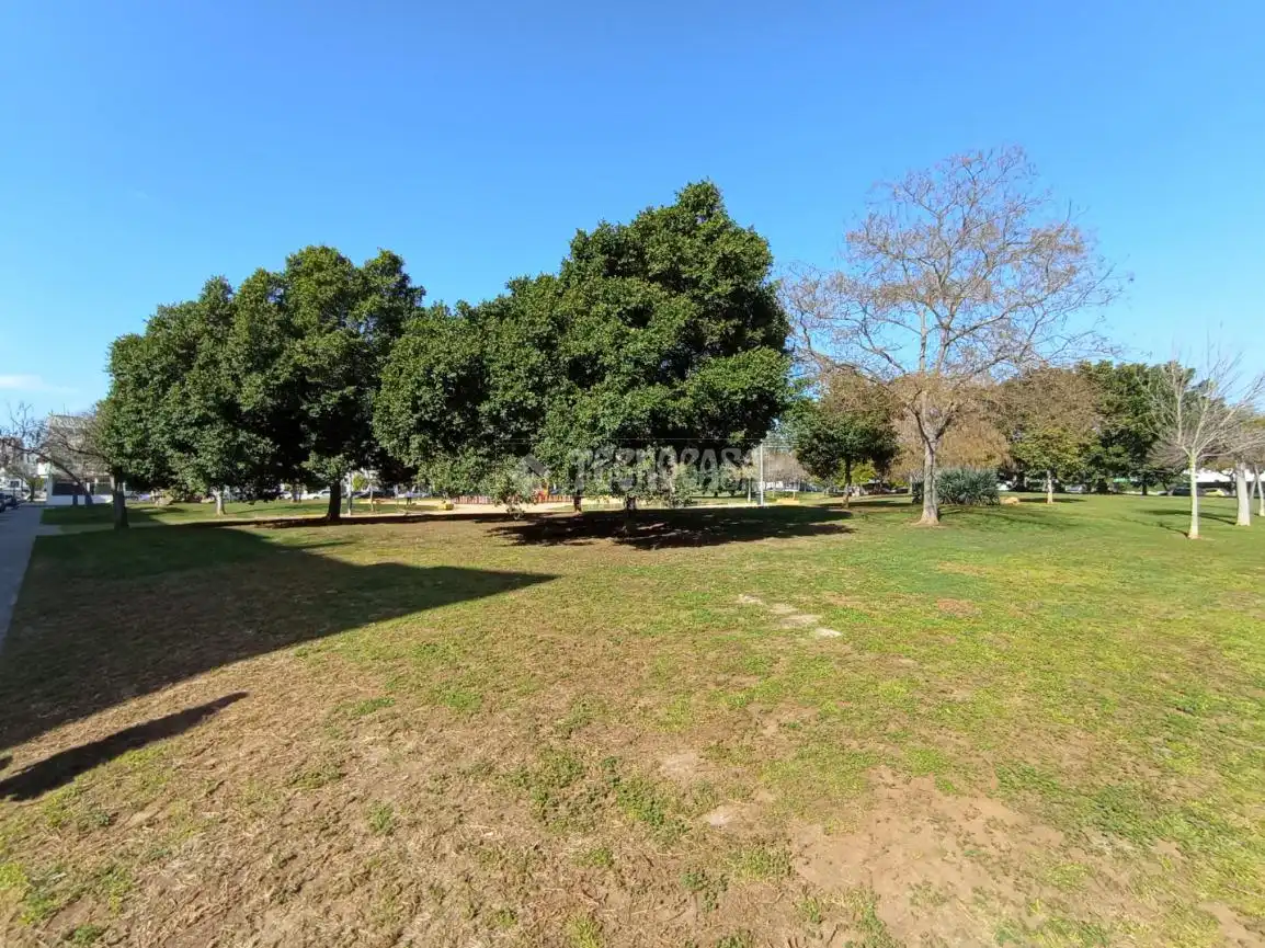 Business premises for sale in Chapín - Campus Universitario - Navinco, imagen 15