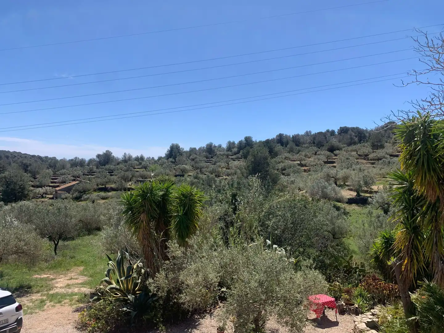 Landhaus zum Verkauf in El Perelló, imagen 40