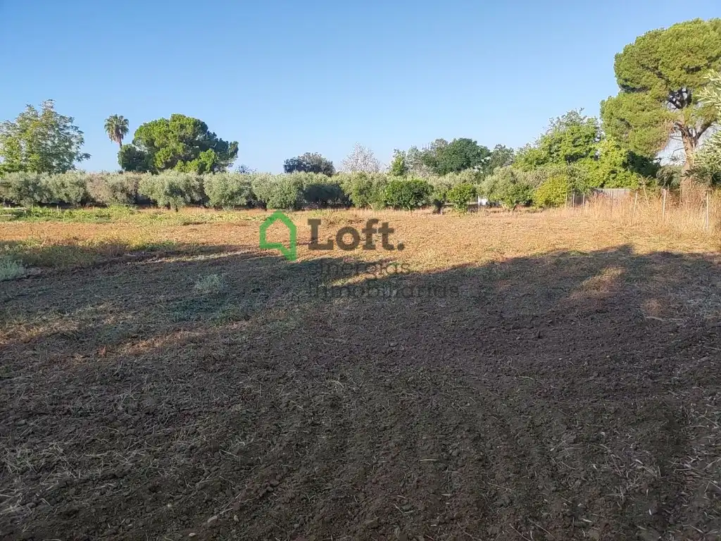 Terreno rustico in vendita a Pedanías de Badajoz, imagen 2
