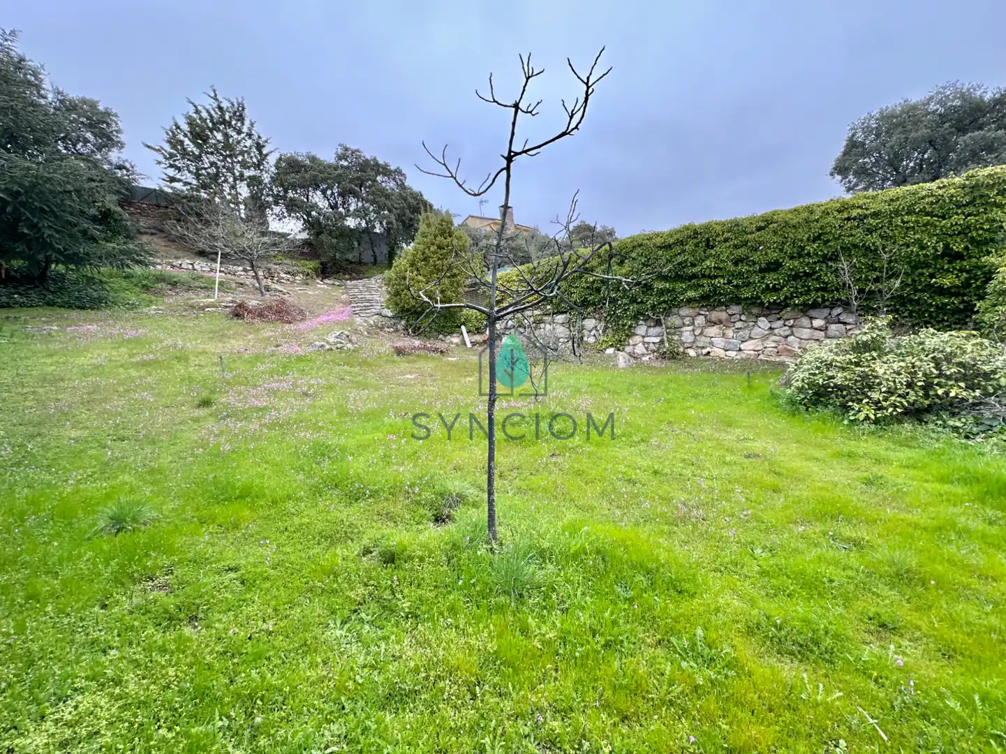 Casa o chalet en venta en Avenida de Peguerinos, Cerro Alarcón