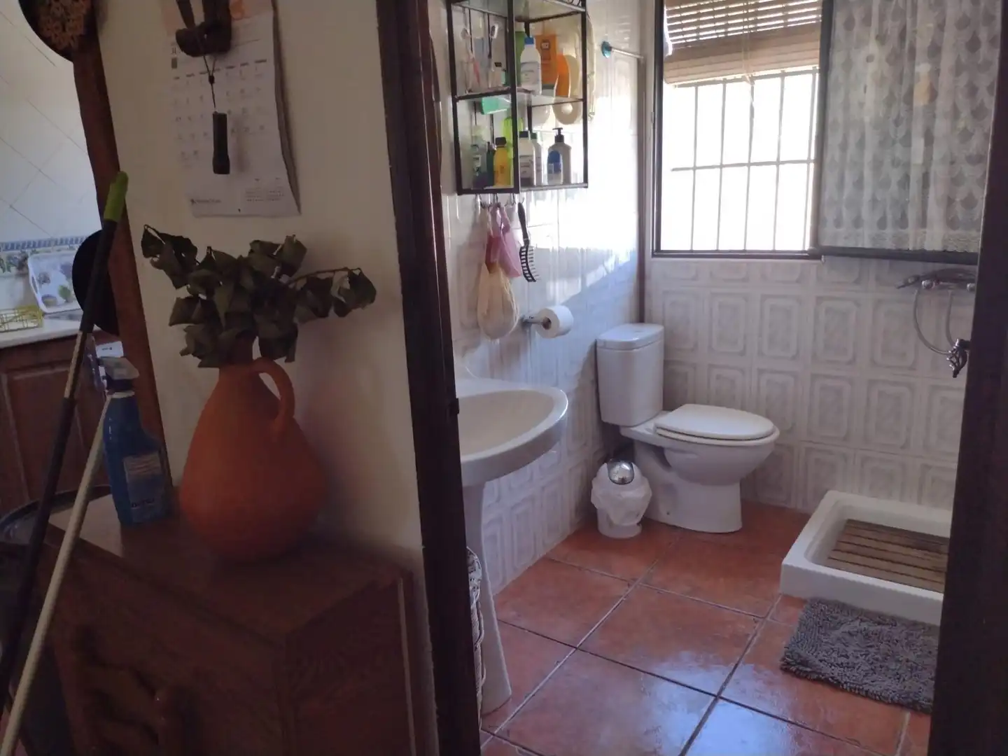 Baño de Casa o chalet en venta en Cantillana con Jardín privado y Piscina