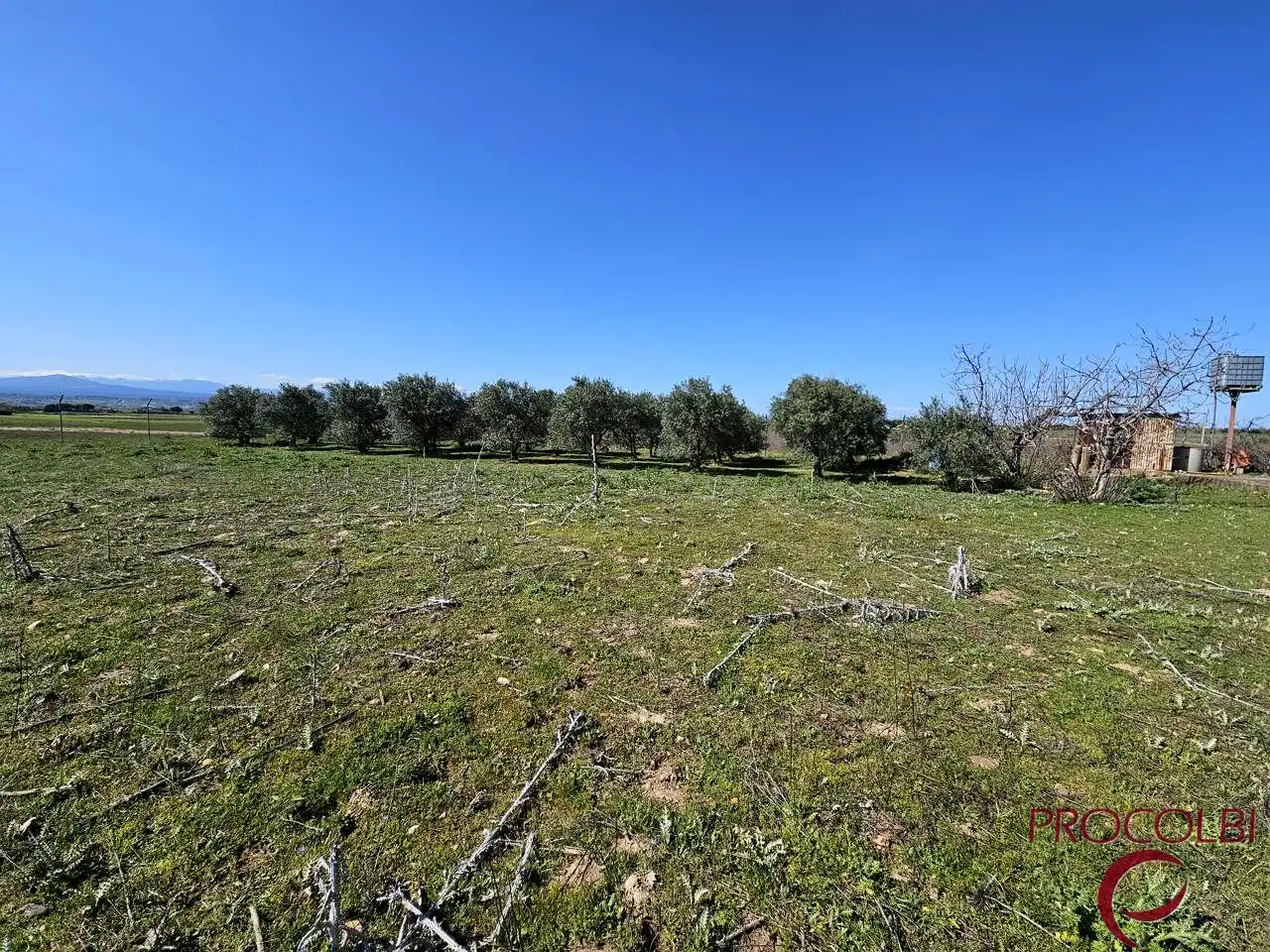 Terreno en venta en Valdeolmos-Alalpardo