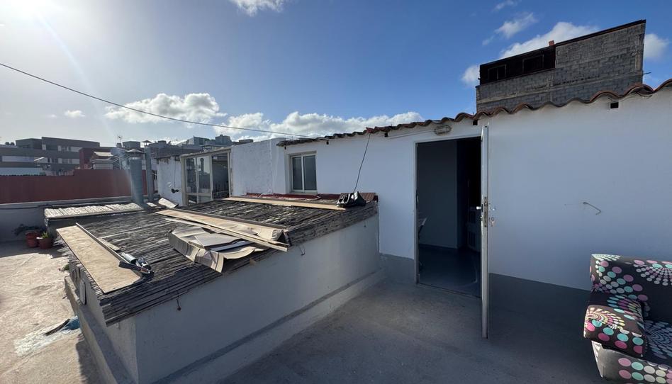 Foto 1 de Estudi de lloguer a Gracia, Santa Cruz de Tenerife