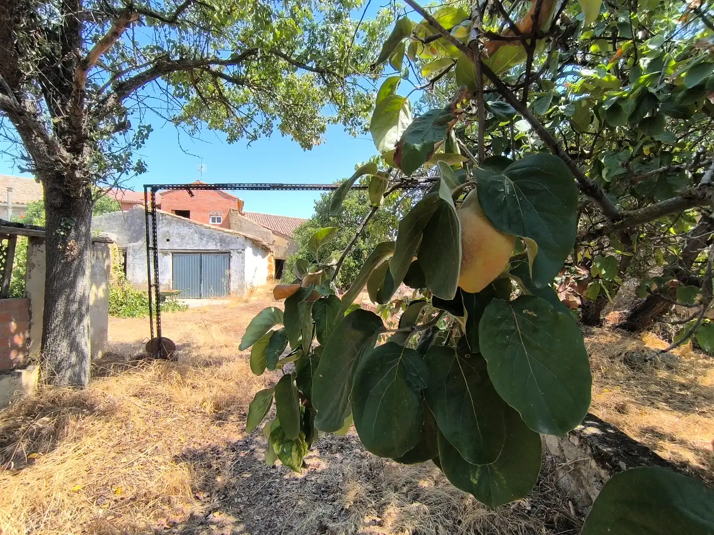 Casa o chalet en venta en Pedraza de Campos con Calefacción, Jardín privado y Terraza