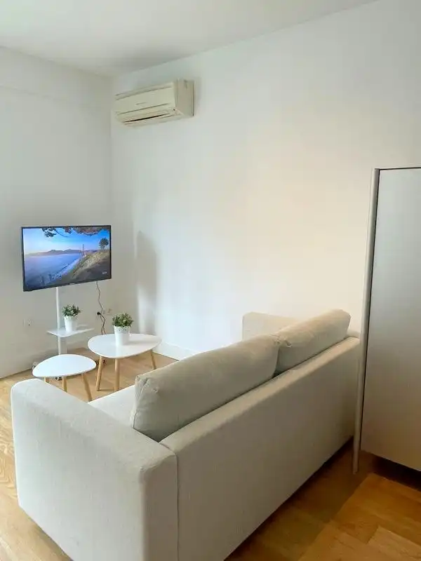 Sala de estar de Estudio de alquiler en Madrid con Aire acondicionado, Parquet y Amueblado