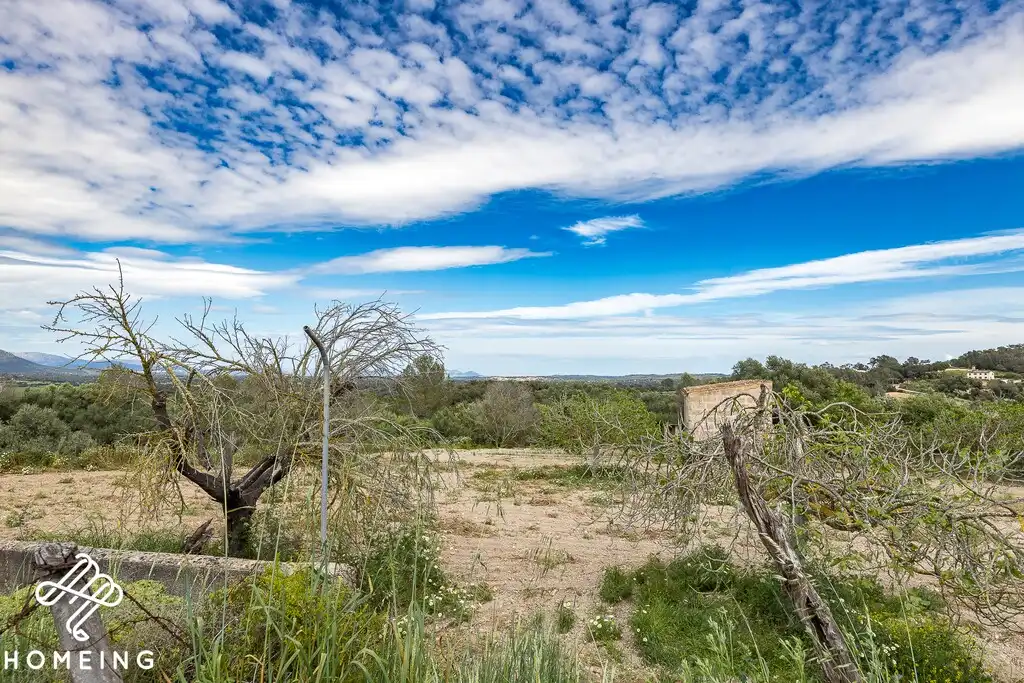 Country homes for sale in Costitx  with Private garden and Terrace