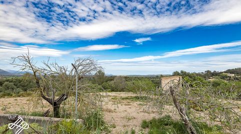 Foto 3 de Finca rústica en venta en Costitx, Illes Balears