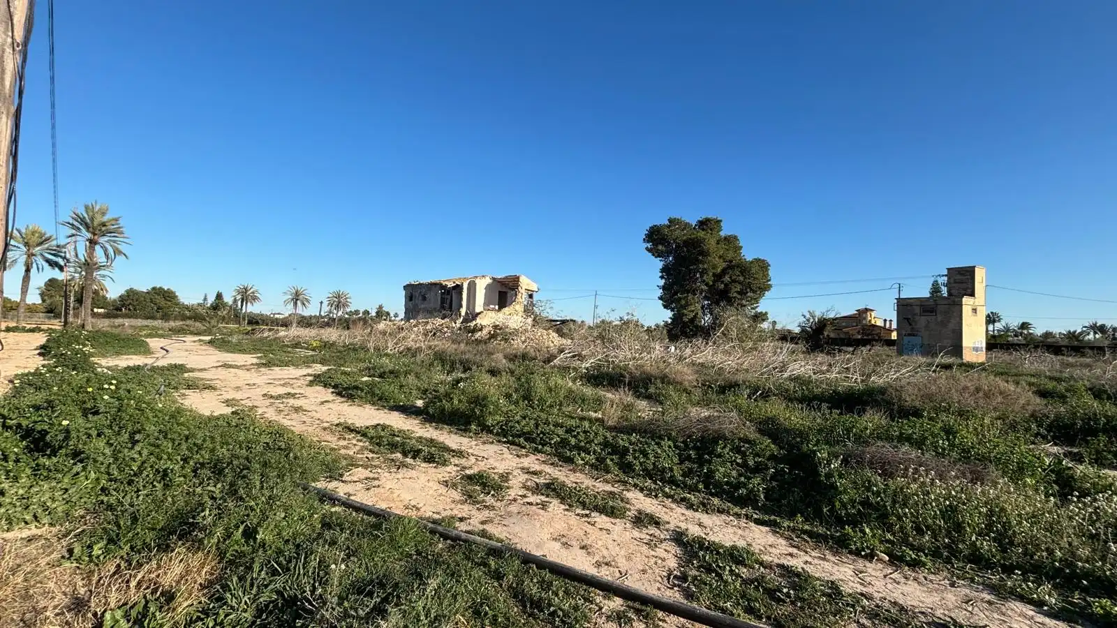 Grundstücke zum Verkauf in Elche / Elx