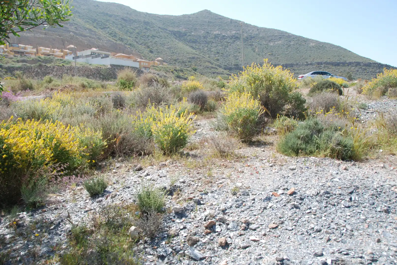 Terreno residencial en venta en Calle los Olivos, imagen 28