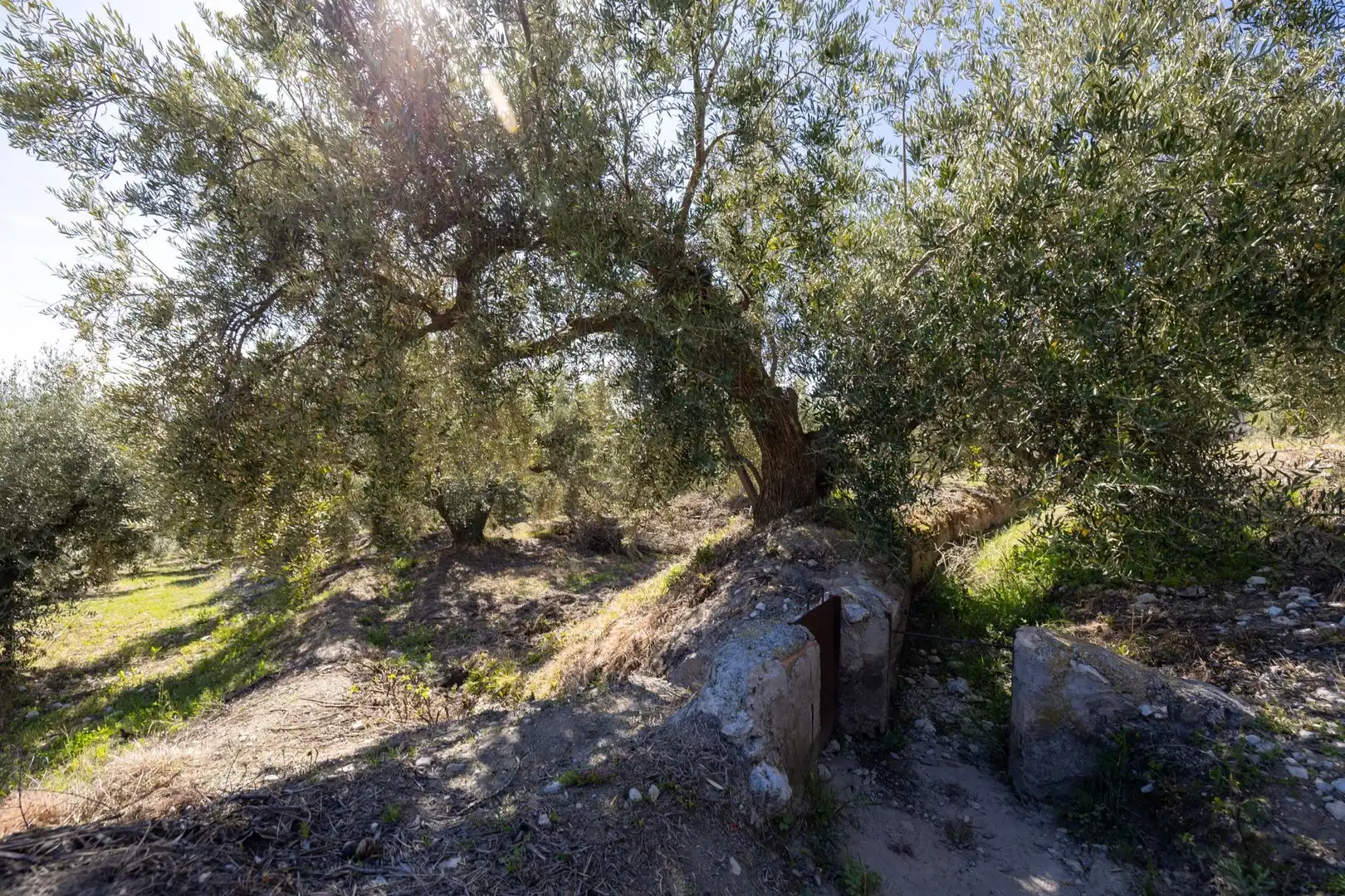 Terreni e lotti in vendita a Dúrcal, imagen 7