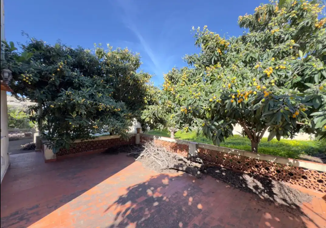 Garten von Haus oder Chalet zum Verkauf in Dénia mit Terrasse, Abstellraum und Schwimmbad