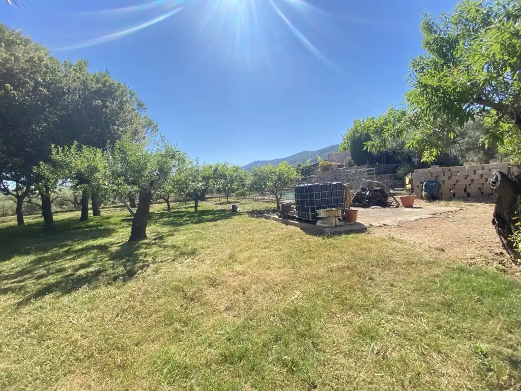 Garden of Houses for sale in Borriol, Castellón