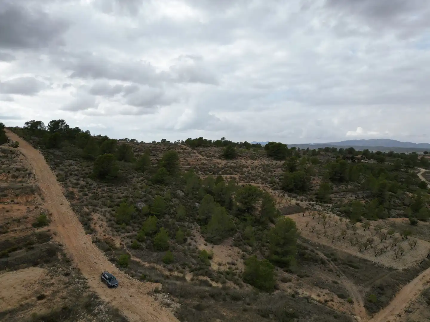 Terreny residencial en venda a Jumilla, imagen 2