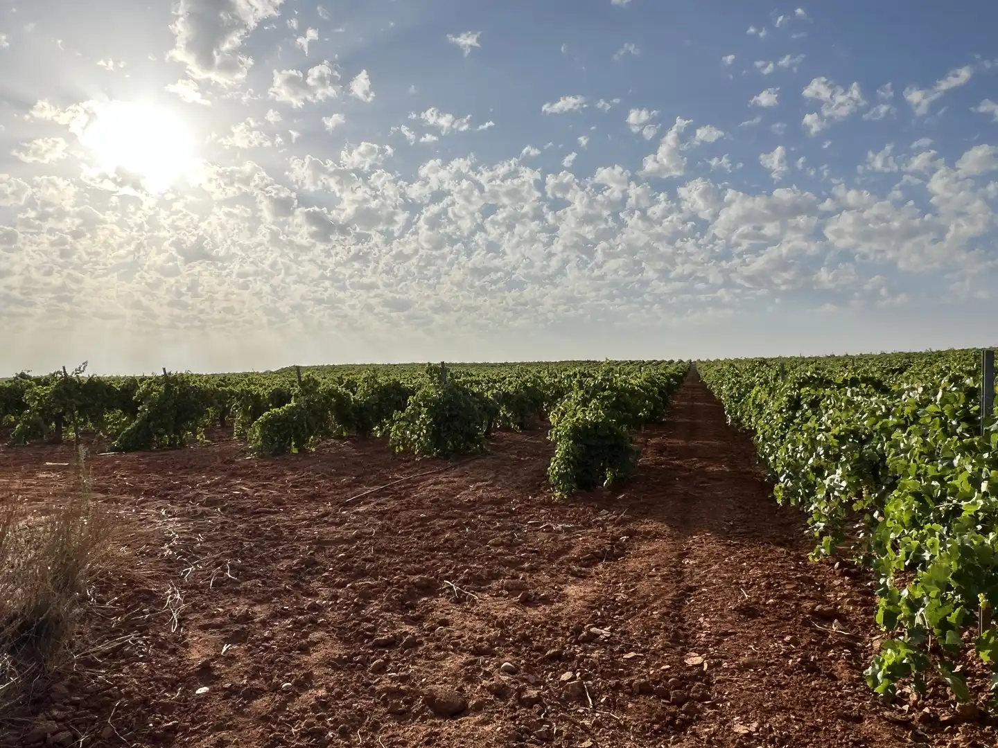 Terrenys i solars en venda a Villafranca de los Caballeros, imagen 7