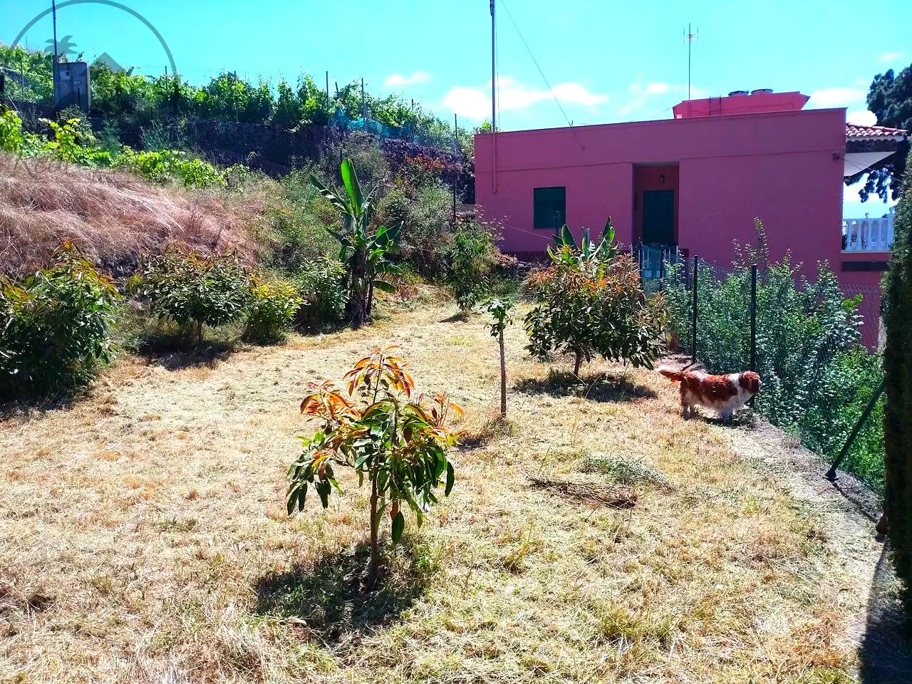 Country house zum Verkauf in La Orotava mit Terrasse und Möbliert