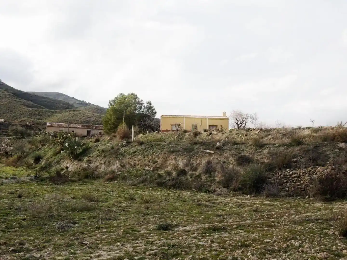 Finca rústica en venda en Lubrín