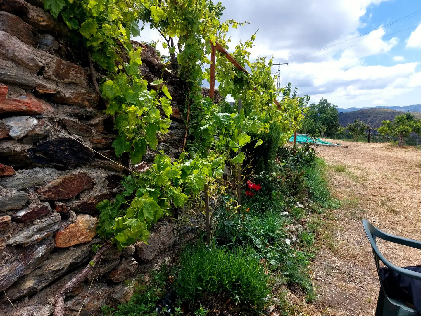 Garden of Land for sale in Pórtugos