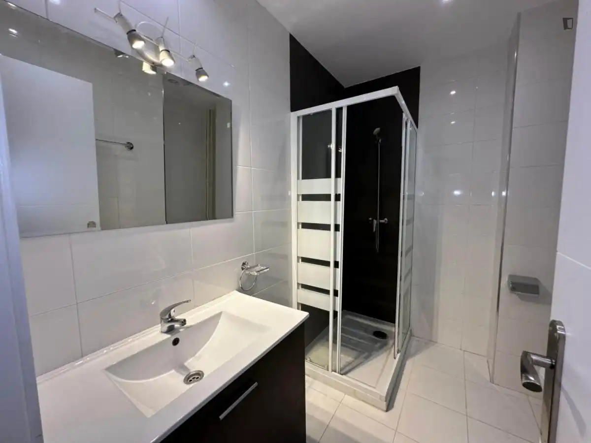 Baño de Apartamento para compartir en Madrid con Amueblado, Lavadora y Microondas