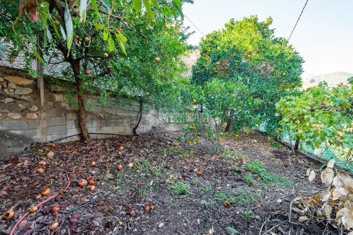 Casa amb jardí en venda a El Pinar, imagen 28