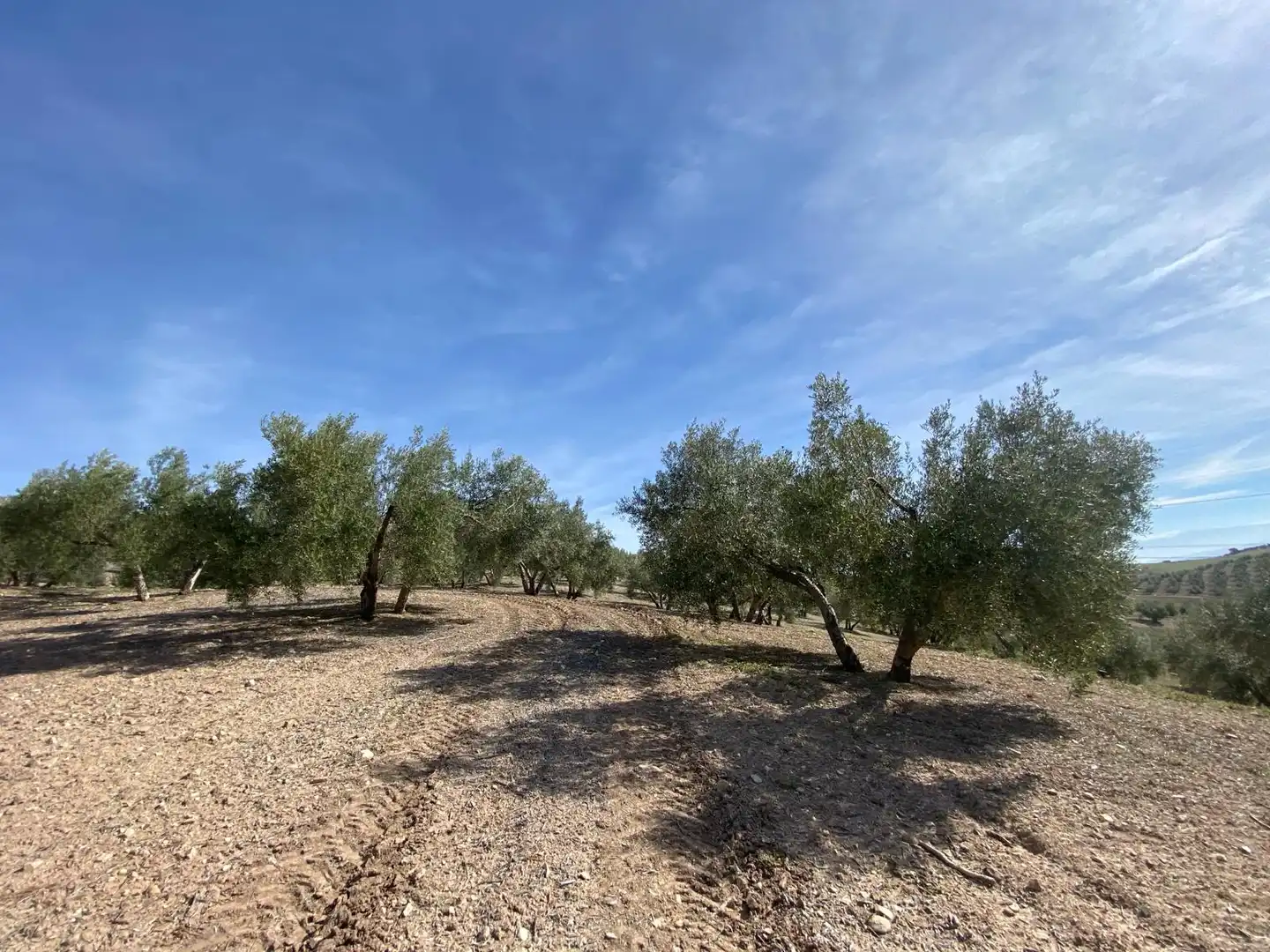 Terreno en venta en Villanueva Mesía