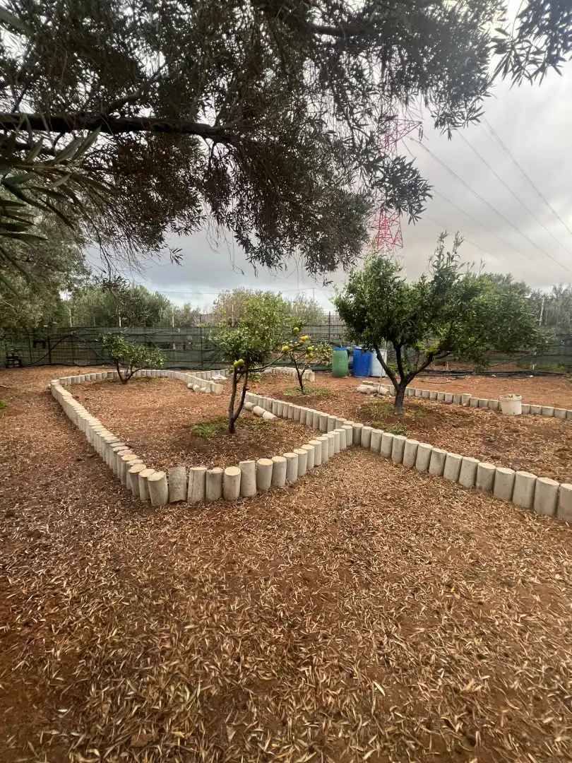 Rural land for sale in Ingenio pueblo, imagen 9