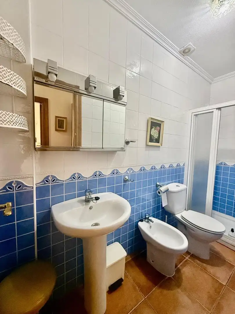 Baño de Casa o chalet en venta en Torre de la Horadada