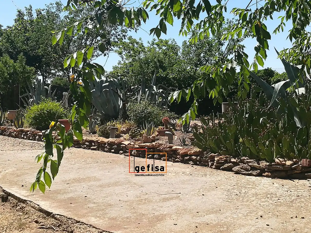 Chalet con piscina en venta en Valdepeñas, imagen 43
