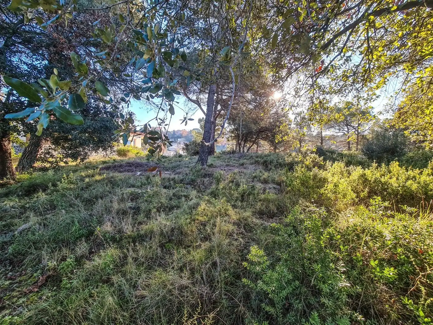 Wohnbaugrundstück zum Verkauf in Talamanca, imagen 4