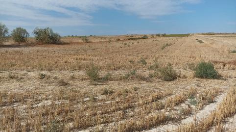 Photo 2 of Land for sale in Casarrubios del Monte pueblo, Toledo