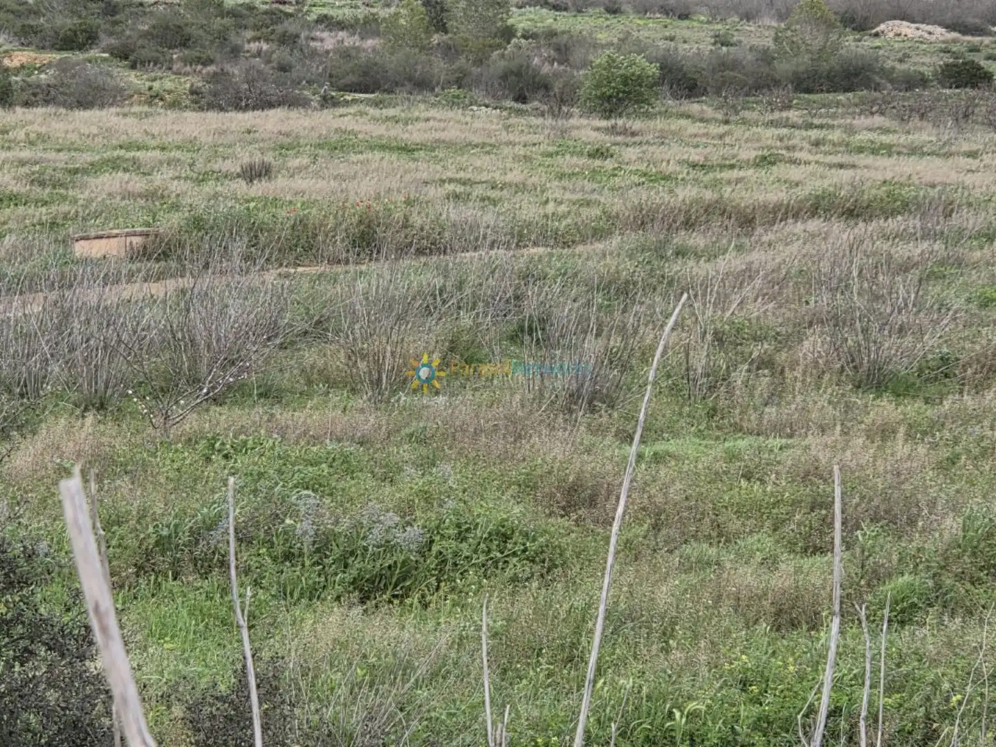 Terreno en venta en Benigànim