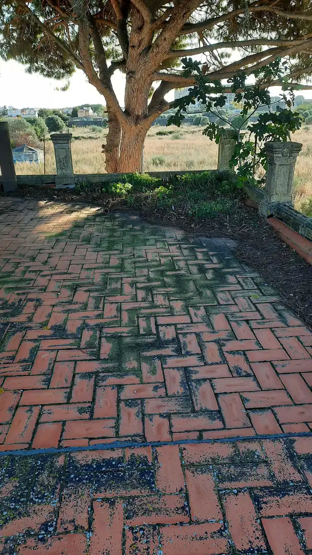 Finca rústica en venta en Plaça Poligono 29, Casco Urbano