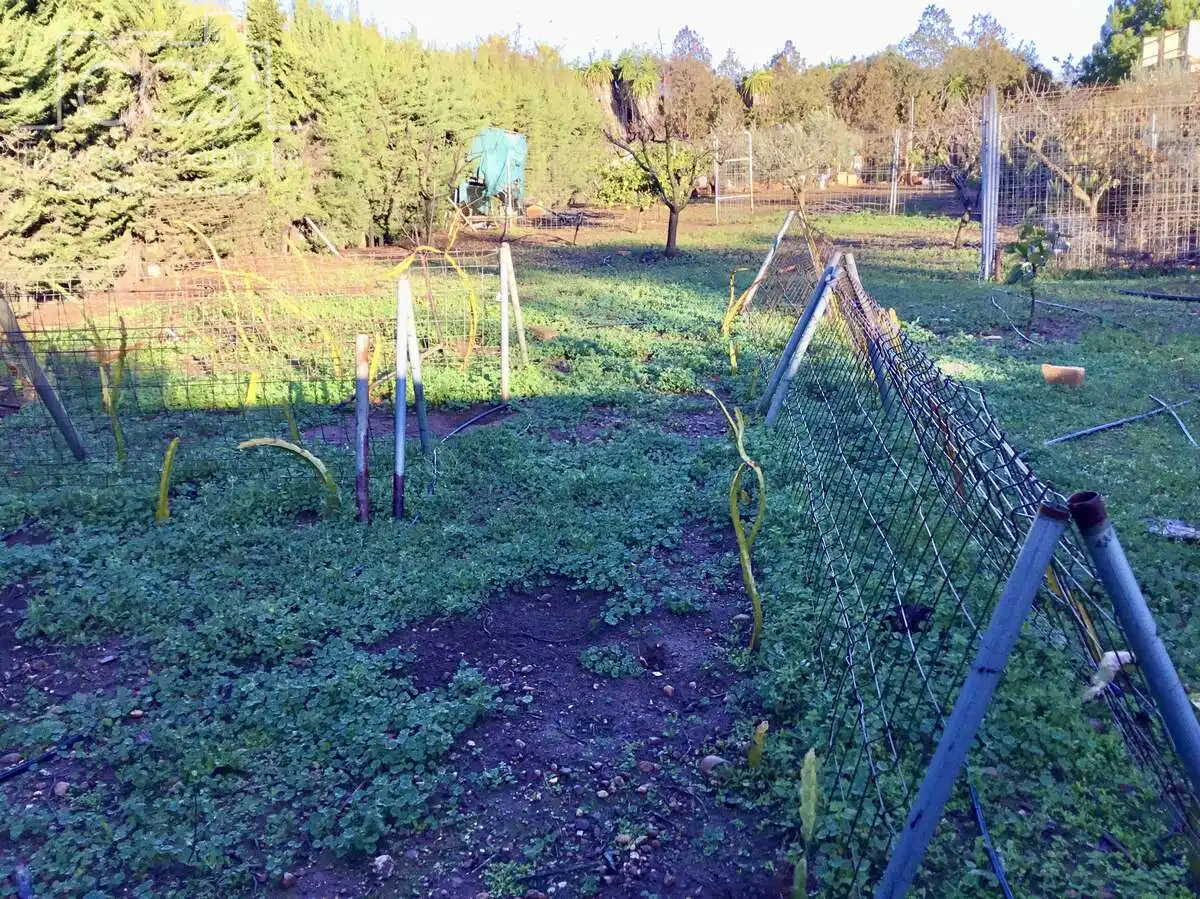 Jardí de Casa o xalet en venda en Sevilla amb Aire condicionat, Traster i Piscina
