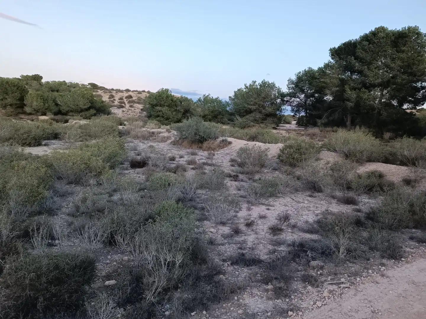 Rustikales Grundstück zum Verkauf in Partida la Marina 85