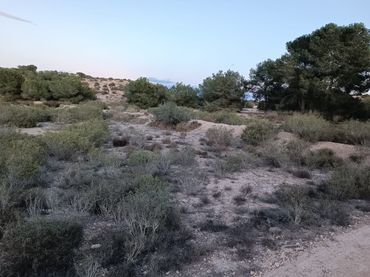 Rustikales Grundstück zum Verkauf in Partida la Marina 85