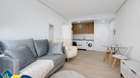Apartamento reformado con piscina comunitaria, en la provincia de Alicante, en la ciudad de Torrevieja. 1 habitación | 50 m² | 800, imatge 3