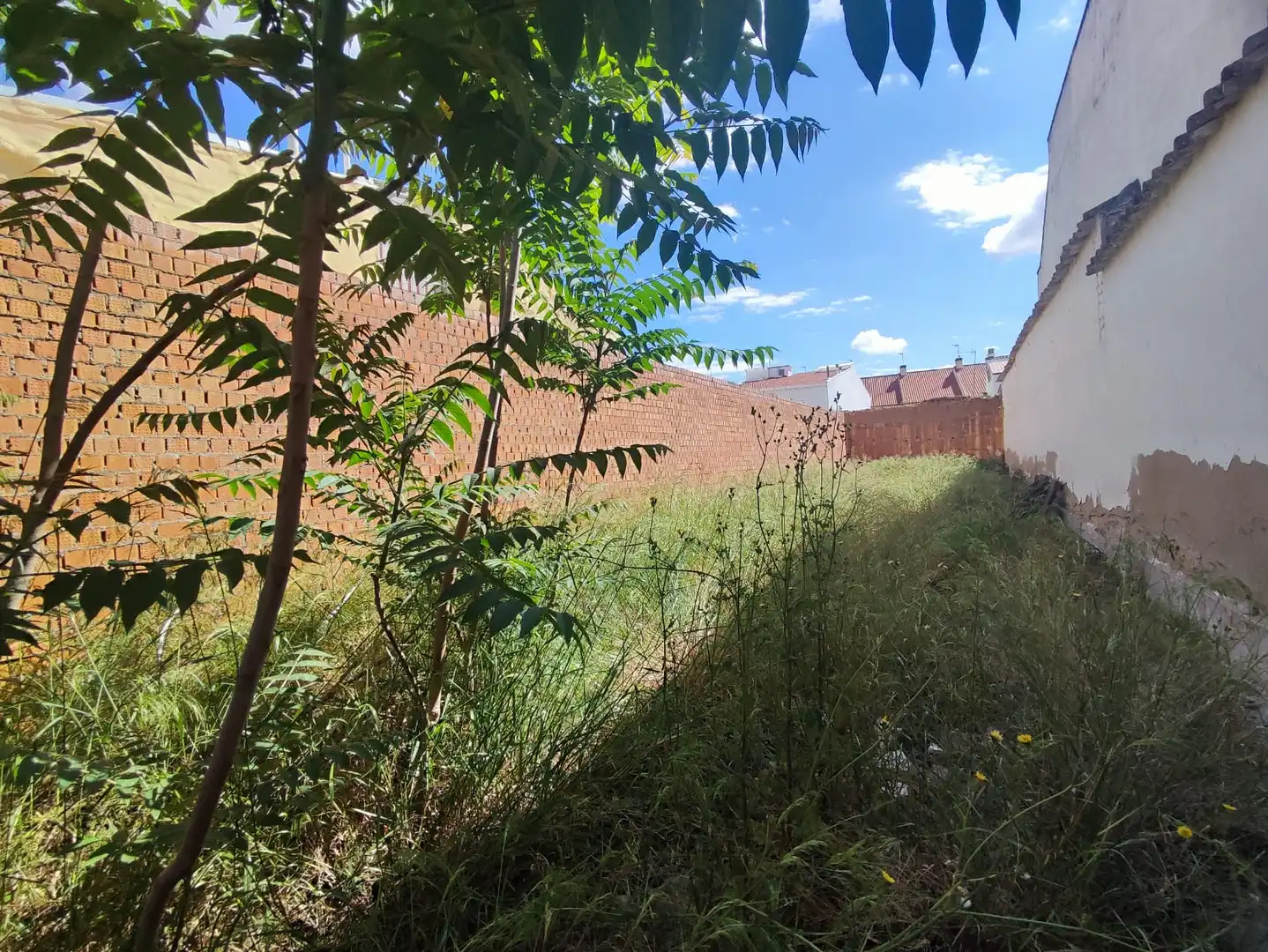Terreny residencial en venda a Calle de Santa Catalina, imagen 2