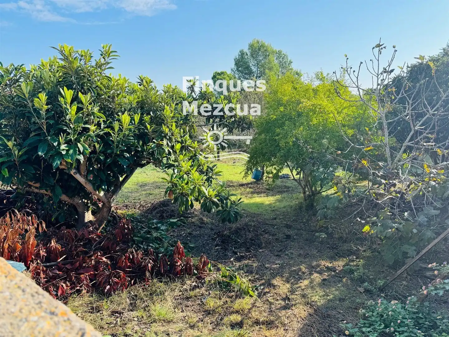 Rural land for sale in del Ter, imagen 2