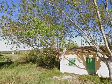 Terreno rústico en venta en Petra