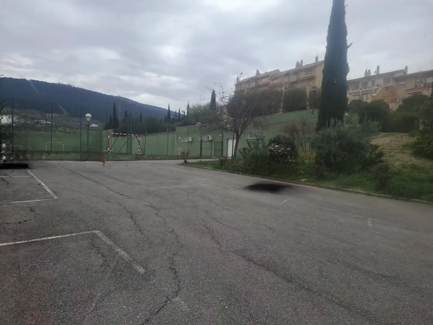 Adossat amb terrassa en venda a La Guardia de Jaén, imagen 46