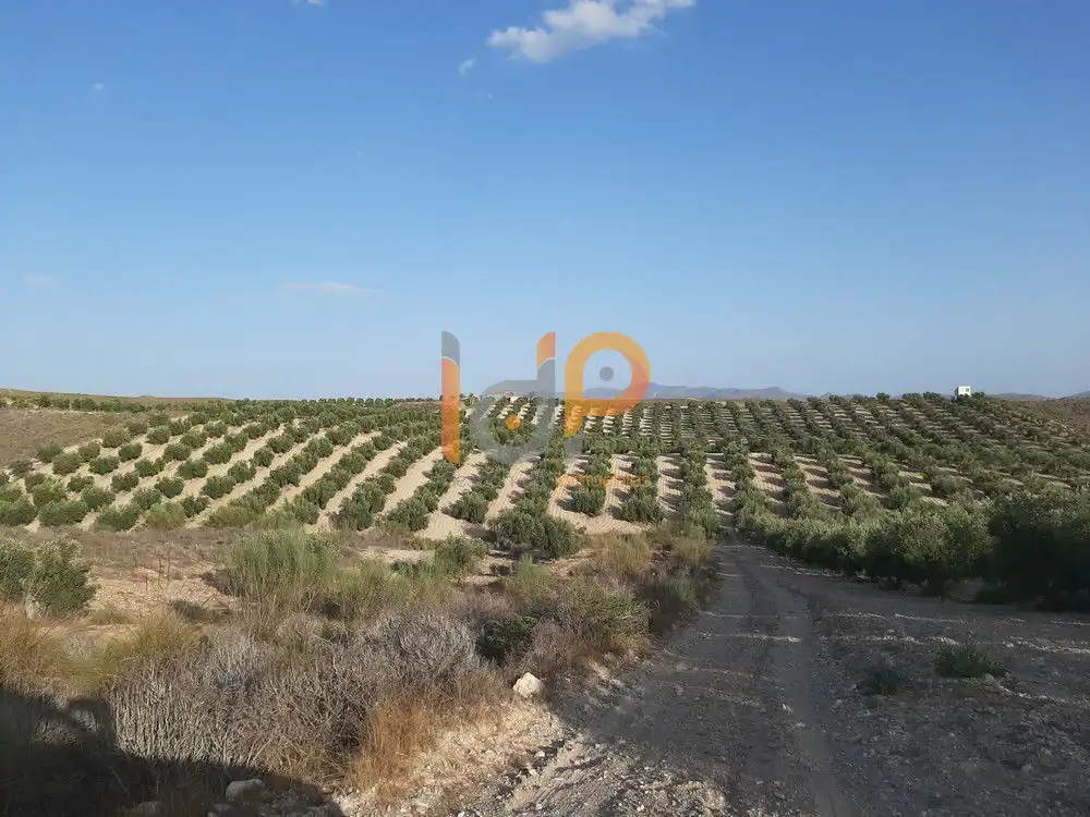 Maison à vendre à Sorbas, imagen 4
