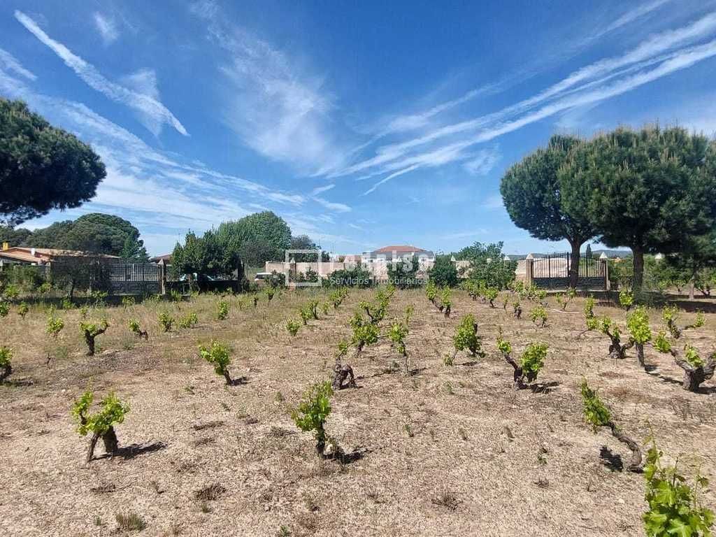 Industrial land for sale in Pepino