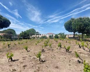 Industrial land for sale in Pepino