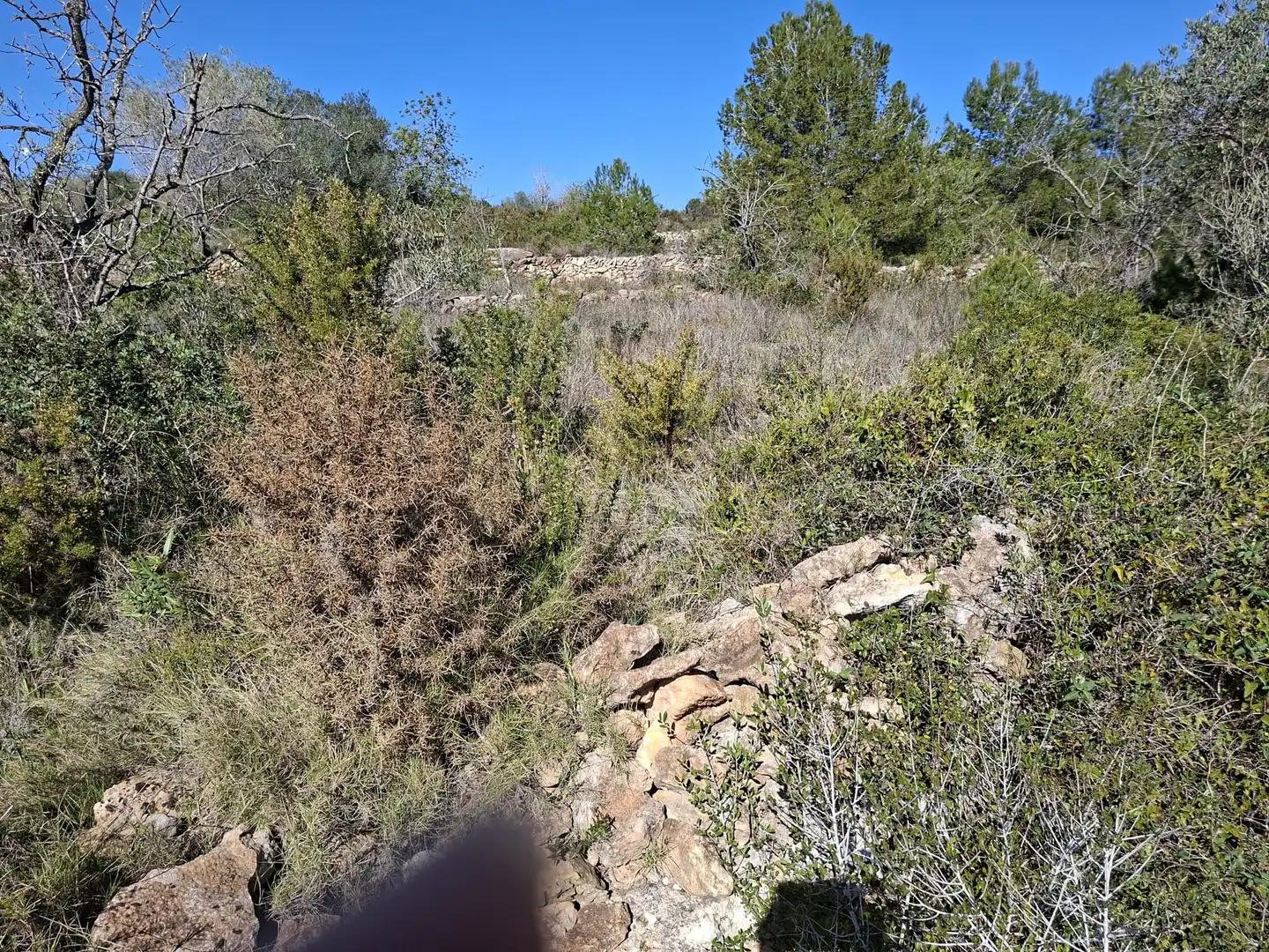 Terreny rústic en venda a Ulldecona, imagen 20